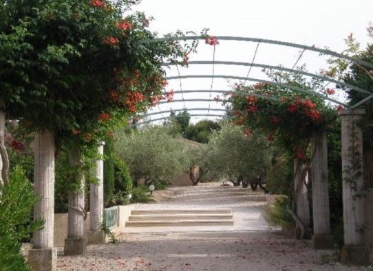Un Gite En Provence - Les Jardins De Fontanille Saint-Rémy-de-Provence Zewnętrze zdjęcie