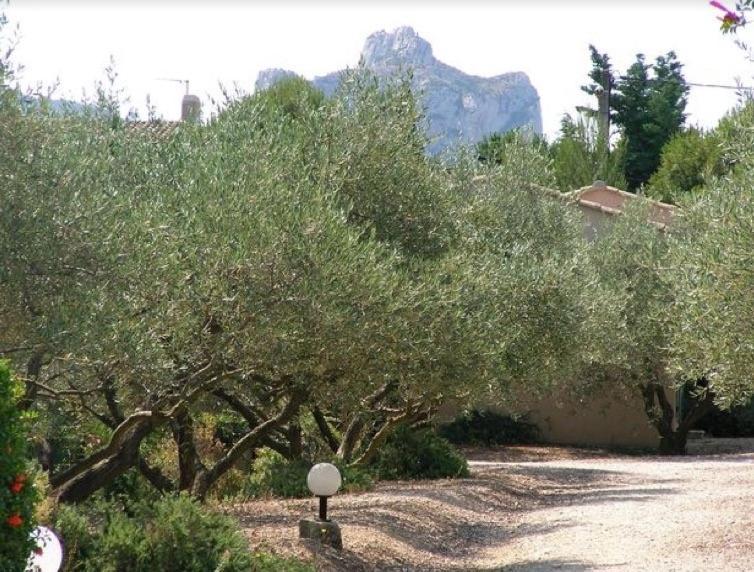 Un Gite En Provence - Les Jardins De Fontanille Saint-Rémy-de-Provence Zewnętrze zdjęcie