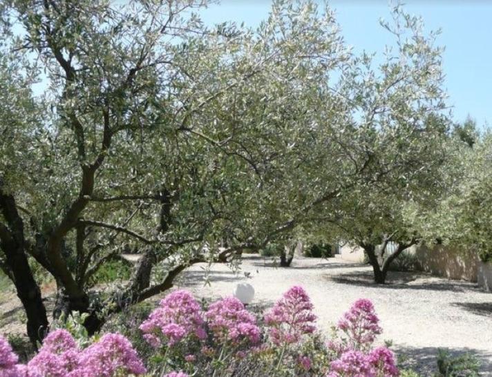 Un Gite En Provence - Les Jardins De Fontanille Saint-Rémy-de-Provence Zewnętrze zdjęcie